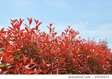 Kaname備忘錄(必填) Kaname備忘錄(必填) 30588915