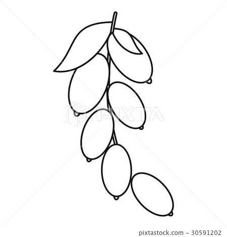 Dogwood berries icon, outline style Dogwood berries icon, outline style 30591202