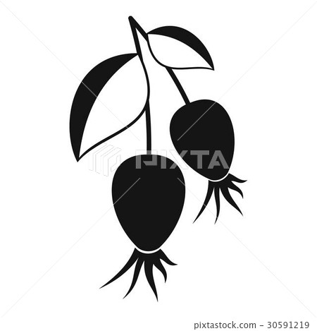 Dogrose berries branch icon, simple style Dogrose berries branch icon, simple style 30591219