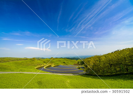 Fan rice terrace 30591502