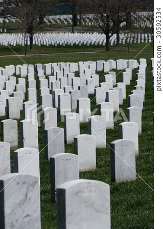 Arlington National Cemetery USA Arlington National Cemetery USA 30592534