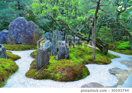 Sakamoto Riko · Rui Inui 30593744