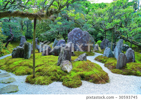 Sakamoto Riko · Rui Inui 30593745