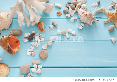 Seashells on blue wood, sea vacation background 30594287
