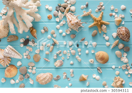 Seashells on blue wood, sea vacation background 30594311
