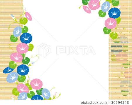 牽牛花和失明 30594348
