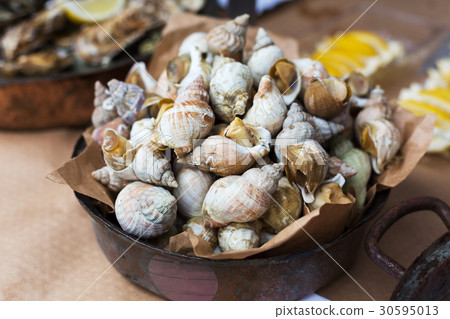 Plenty of seafood, veined rapa whelk on grill pan Plenty of seafood, veined rapa whelk on grill pan 30595013