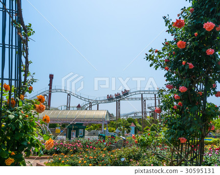 Hirakata Park's Rose Garden Hirakata Park's Rose Garden 30595131