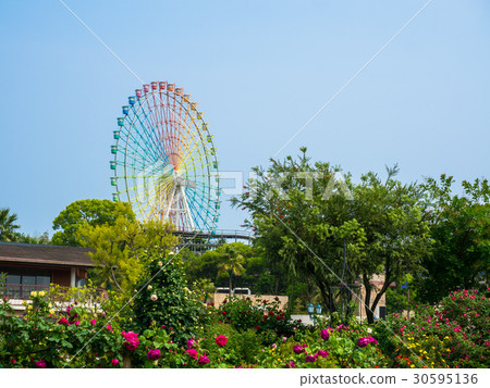 枚方公園的玫瑰園和摩天輪 30595136