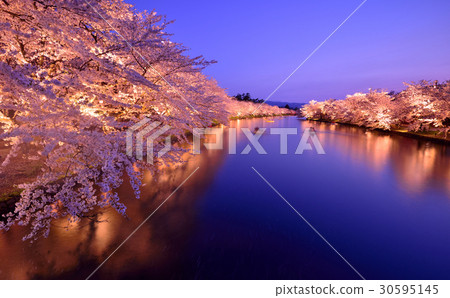 照亮弘前公園 30595145