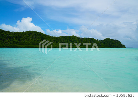 帕勞,熱帶國家美麗的海和海灘 帕勞,熱帶國家美麗的海和海灘 30595625