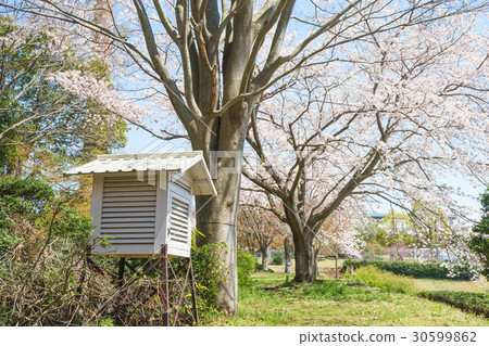 Aitaka廣場公園有一百年曆史的房間 30599862