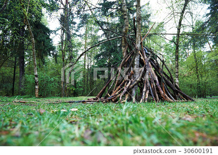 A hut of twigs in the forest. Nature, survival 30600191