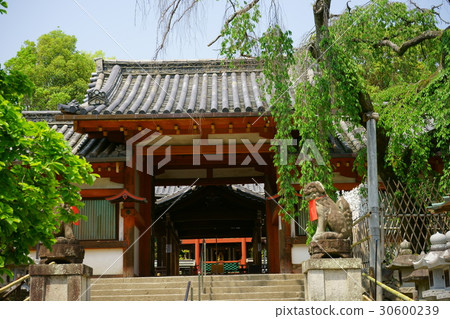 奈良·冰之神·冰室神社1 30600239