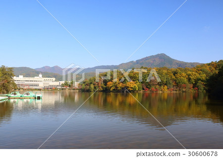 Kyoto Fall treasure park park 30600678