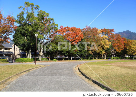 Kyoto Fall treasure park park 30600726