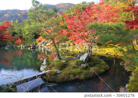 京都Tenryu-ji寺廟在秋天Saugen池塘庭院裡 30601276