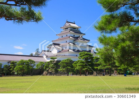 Tsuruga castle in summer (Aizuwakamatsu city) 30601349