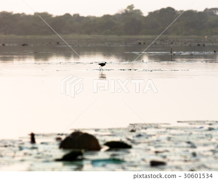 Lake Tengrela, Burkina Faso Lake Tengrela, Burkina Faso 30601534