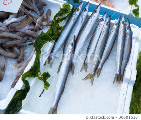 Garfish at market 30601610