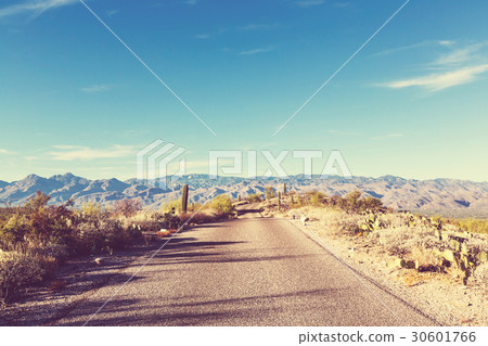 Road in prairie Road in prairie 30601766