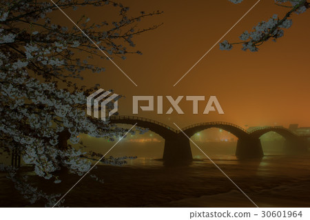 櫻花和Kintai-kyo橋9 櫻花和Kintai-kyo橋9 30601964