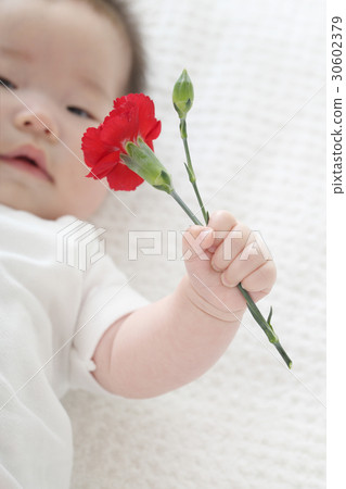 Carnations and babies Carnations and babies 30602379