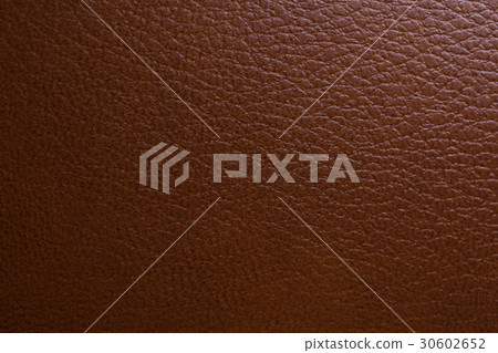 Cowhide Cowhide 30602652