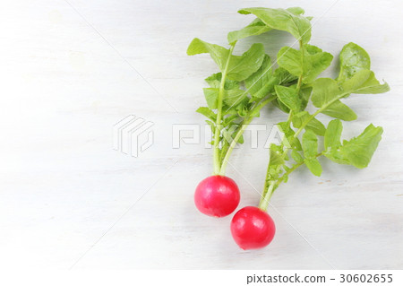 Radish red cub wrapping clip Radish red cub wrapping clip 30602655