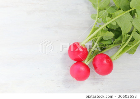 Radish red cub wrapping clip Radish red cub wrapping clip 30602658