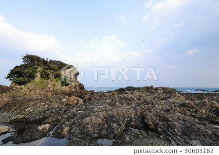 Tashiro coast with Yakushima pillow lava 30603162