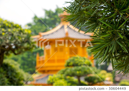 Green Branch and Defocused Golden Pavilion Green Branch and Defocused Golden Pavilion 30604449