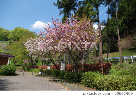 Song Park Sabo Dam Park 30605409