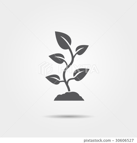 Sprout gray icon 30606527