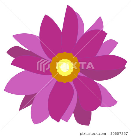 Isolated colored flower 30607267