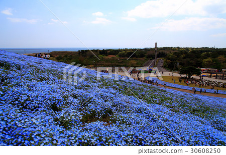 日立海灘度假村Nemophila 30608250