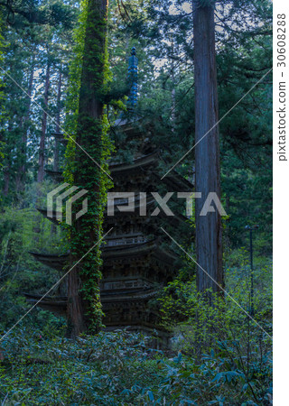 Haguroyama five-storied pagoda 30608288