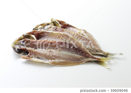 杜鵑花開放2 30609046