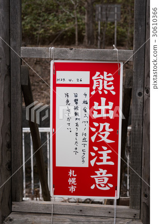 Bear appearance attention 30610366