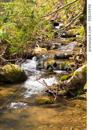 雪融化的一條小溪 30610456