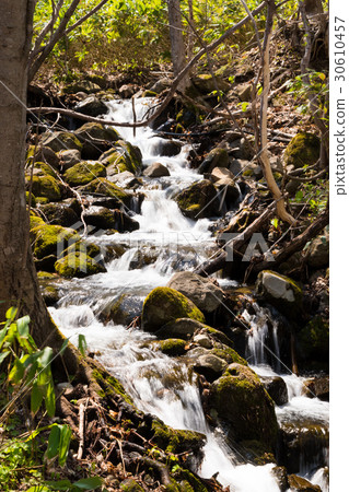 雪融化的一條小溪 30610457