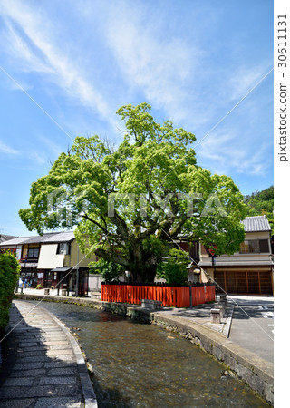 京都Kamigamo景觀赤川藤木株式會社 京都Kamigamo景觀赤川藤木株式會社 30611131