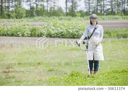 修剪草坪割草 修剪草坪割草 30611374