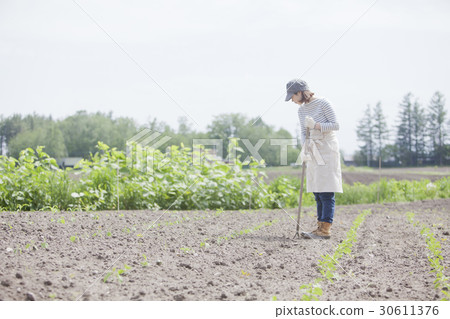 Agriculture Women's Family Garden Agriculture Women's Family Garden 30611376