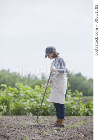 Agriculture Women's Family Garden Agriculture Women's Family Garden 30611382