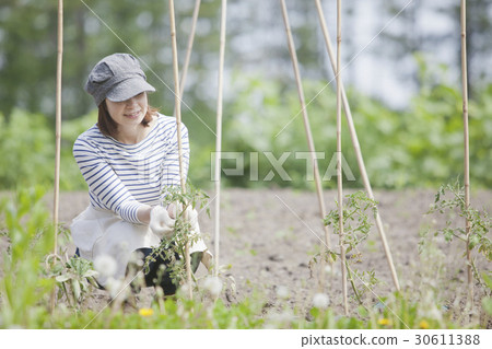 農業婦女的家庭花園 30611388