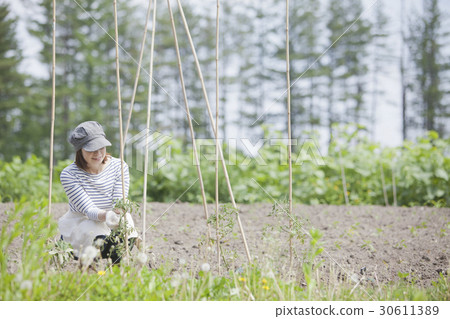 農業婦女的家庭花園 農業婦女的家庭花園 30611389