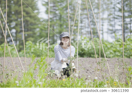 Agriculture Women's Family Garden Agriculture Women's Family Garden 30611390
