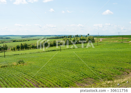 火車窗口從哈爾濱到黑河中國·黑龍江省 30611756