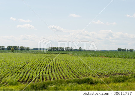 火車窗口從哈爾濱到黑河中國·黑龍江省 30611757